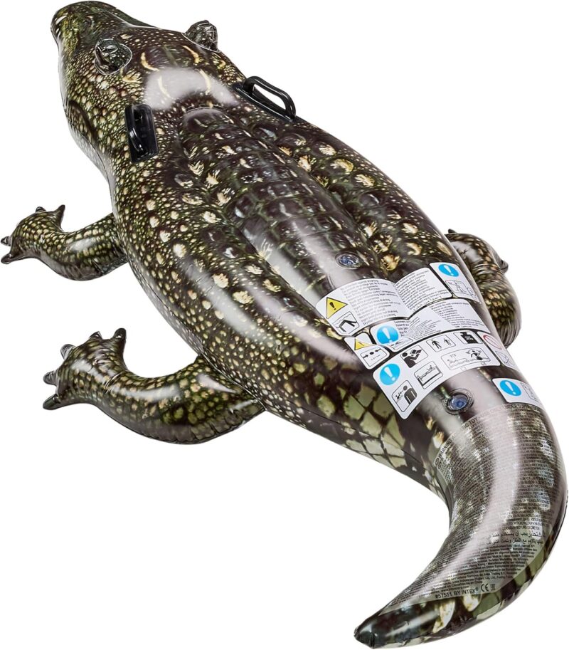Intex Inflatable Animal – Image 5