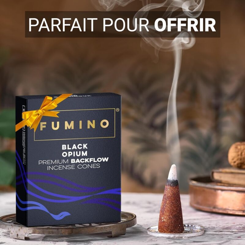 Encens Cone Refoulement Naturels – Image 4