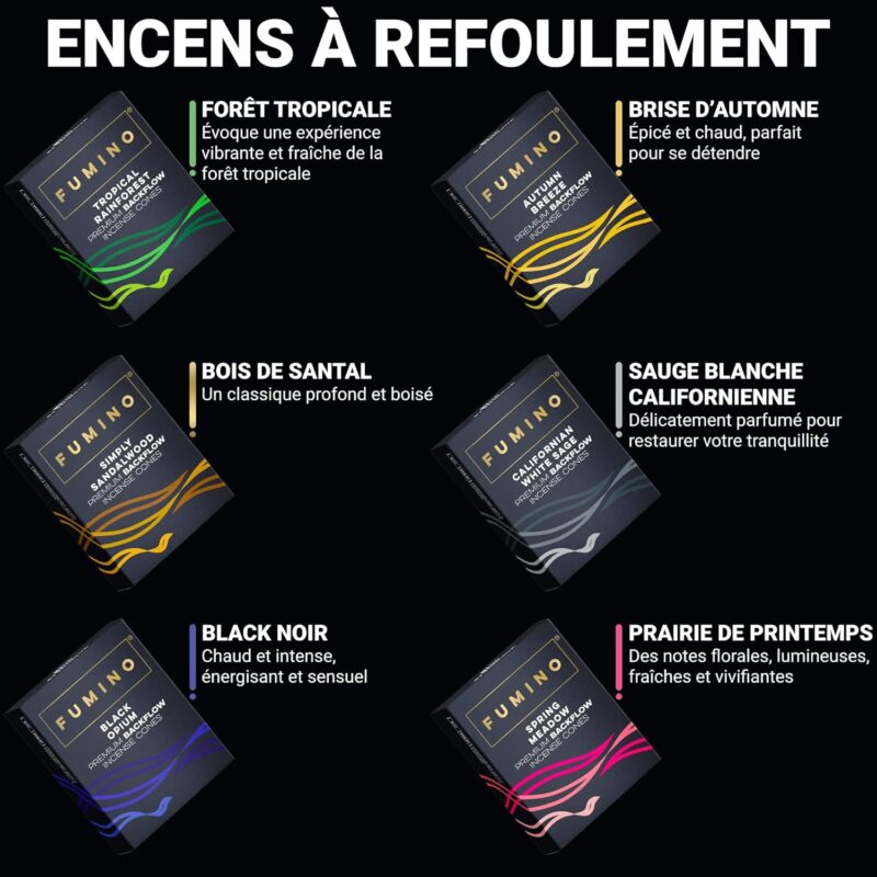 Encens Cone Refoulement Naturels – Image 7