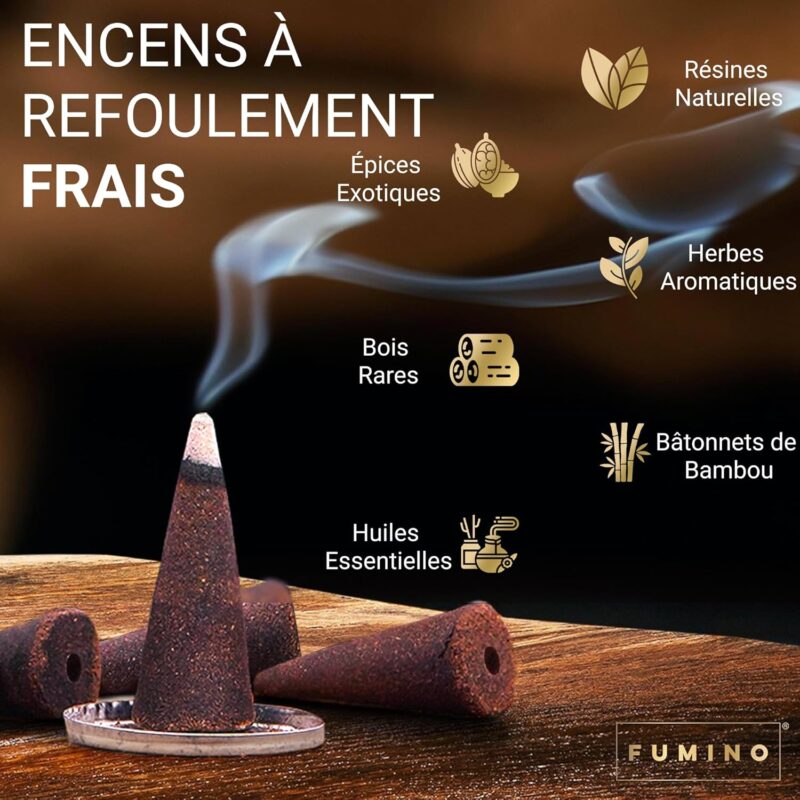 Encens Cone Refoulement Naturels – Image 8